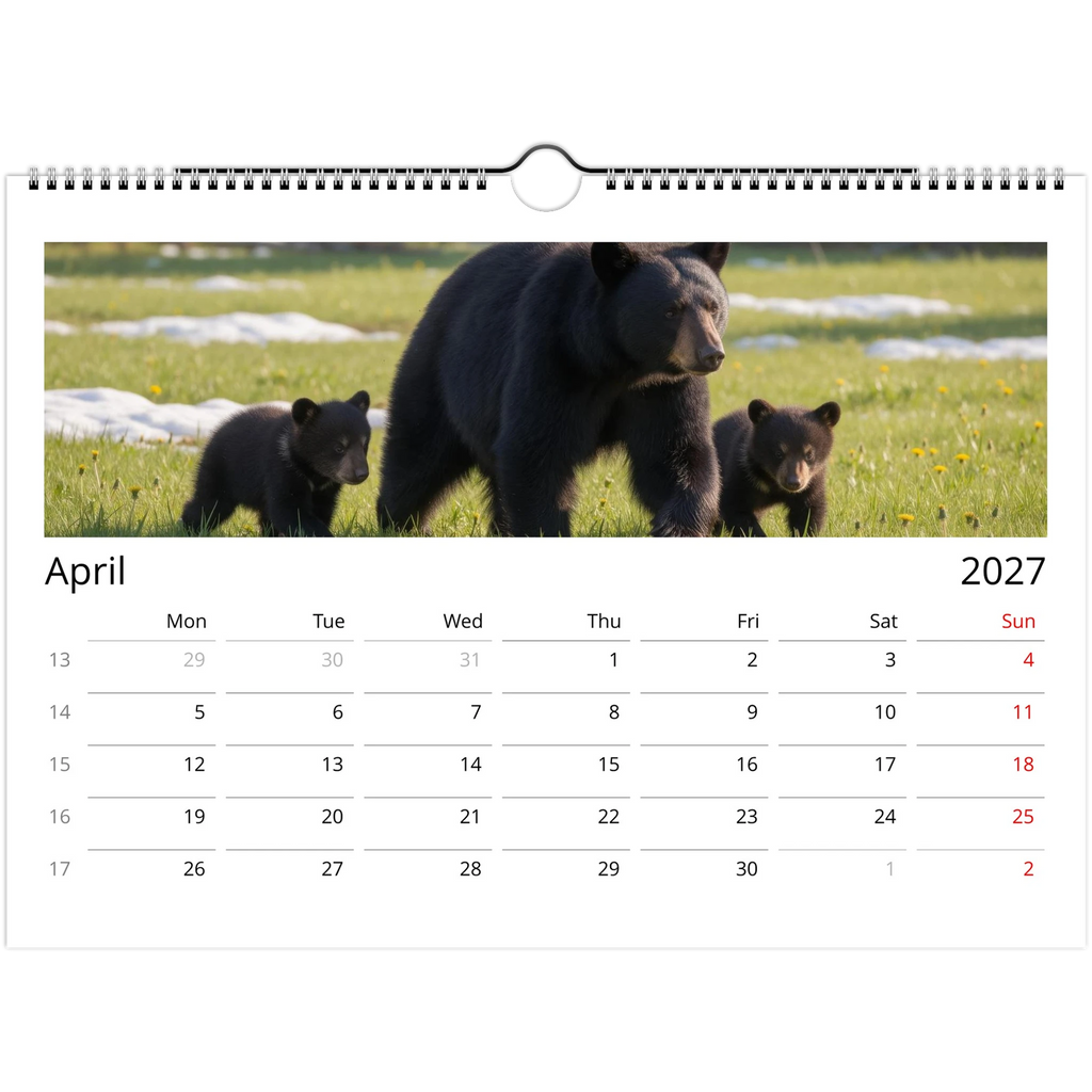 Wild Canada 2027 Wildlife Wall Calendar, International Edition, view 6