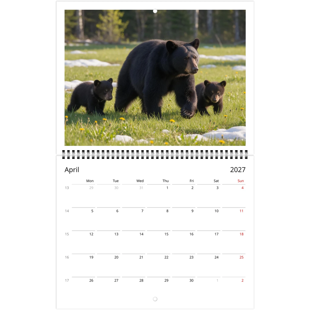 Wild Canada 2027 Wildlife Wall Calendar, Canada and USA Edition, view 11