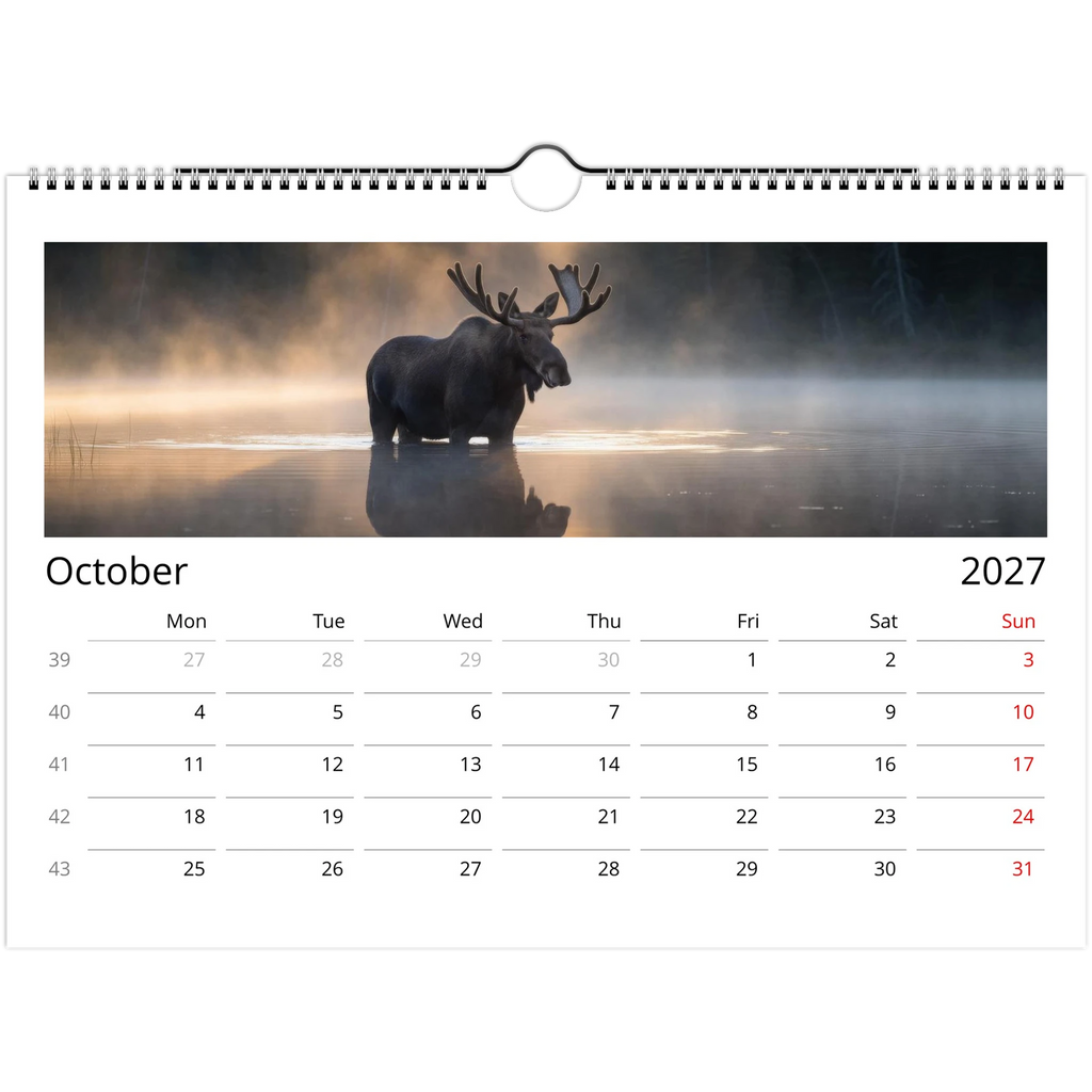 Wild Canada 2027 Wildlife Wall Calendar, International Edition, view 13