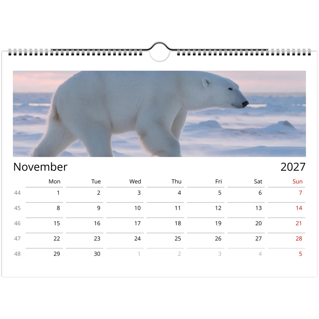 Wild Canada 2027 Wildlife Wall Calendar, International Edition, view 5