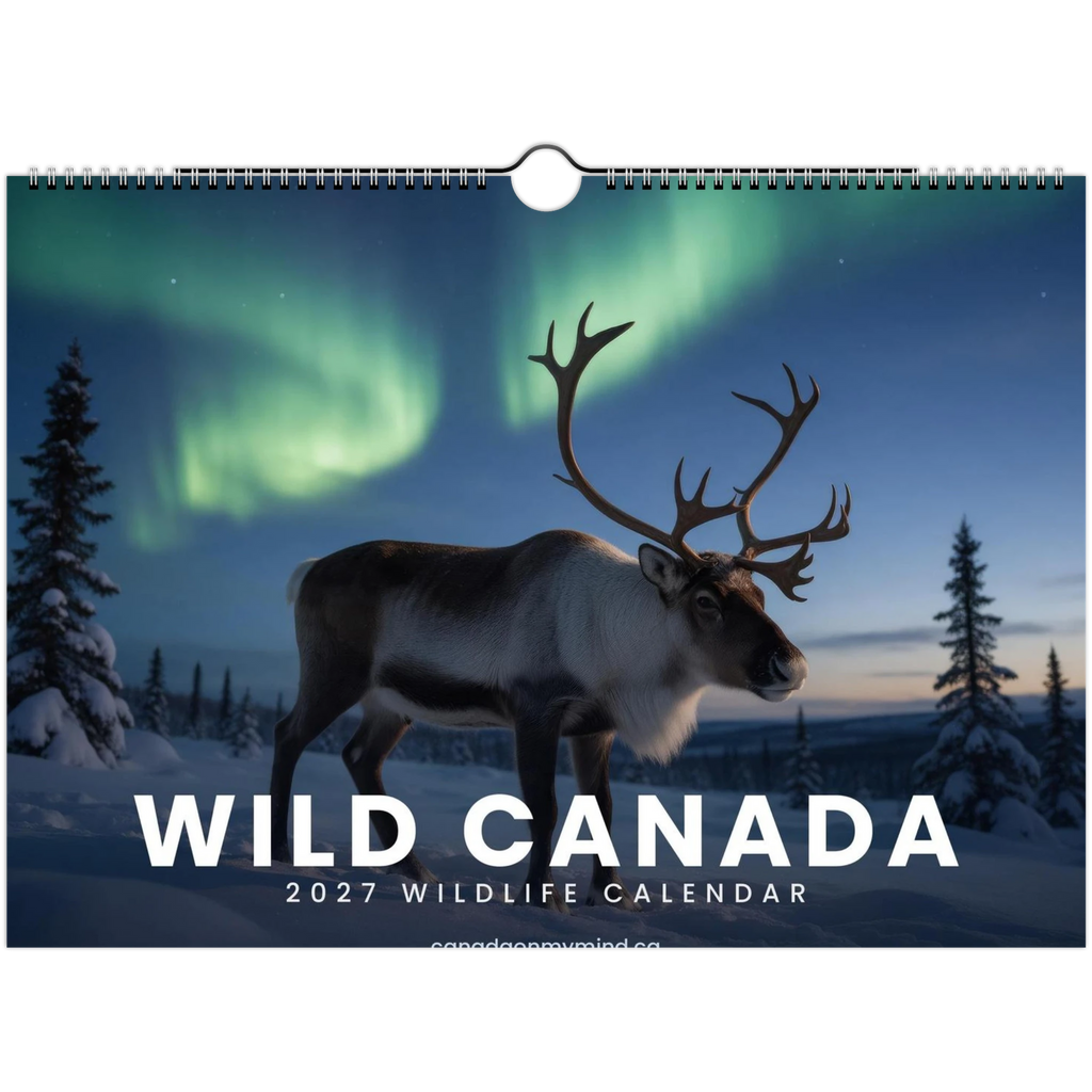 Wild Canada 2027 Wildlife Wall Calendar, International Edition