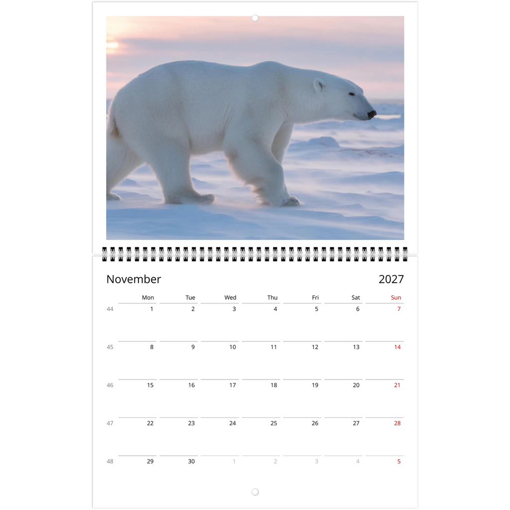 Wild Canada 2027 Wildlife Wall Calendar, Canada and USA Edition, view 7