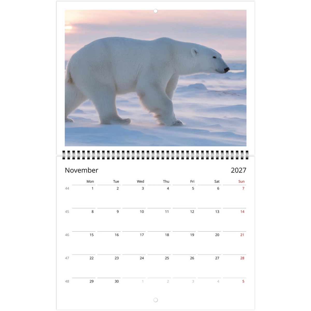 Wild Canada 2027 Wildlife Wall Calendar, Canada and USA Edition, view 7