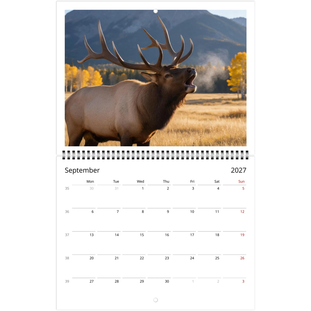 Wild Canada 2027 Wildlife Wall Calendar, Canada and USA Edition, view 10