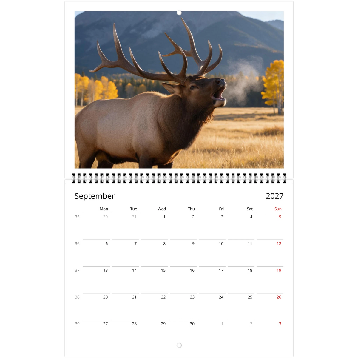 Wild Canada 2027 Wildlife Wall Calendar, Canada and USA Edition, view 10