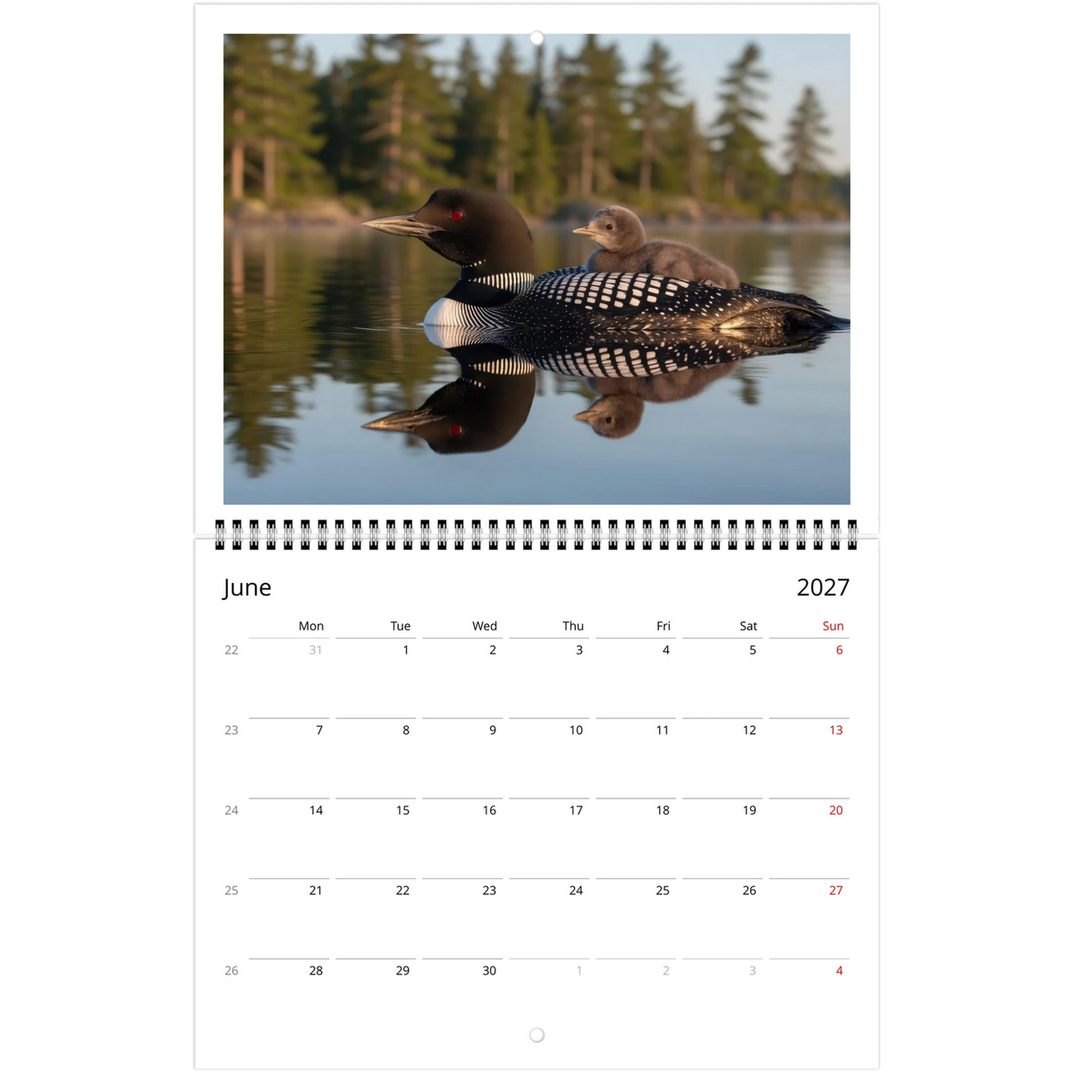 Wild Canada 2027 Wildlife Wall Calendar, Canada and USA Edition, view 4