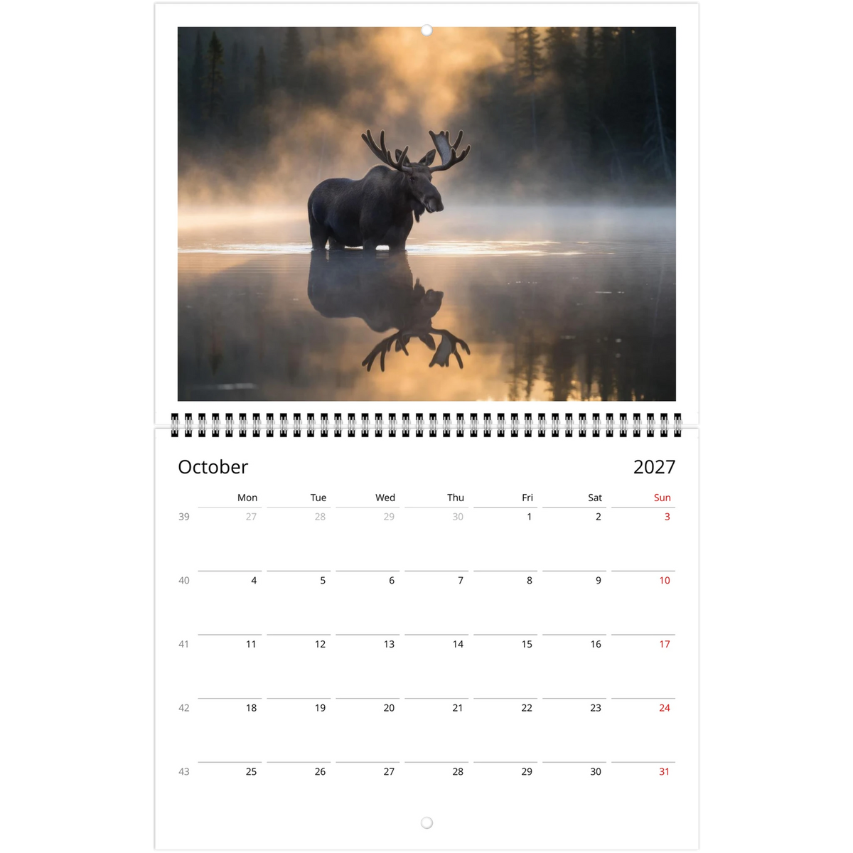Wild Canada 2027 Wildlife Wall Calendar, Canada and USA Edition, view 3