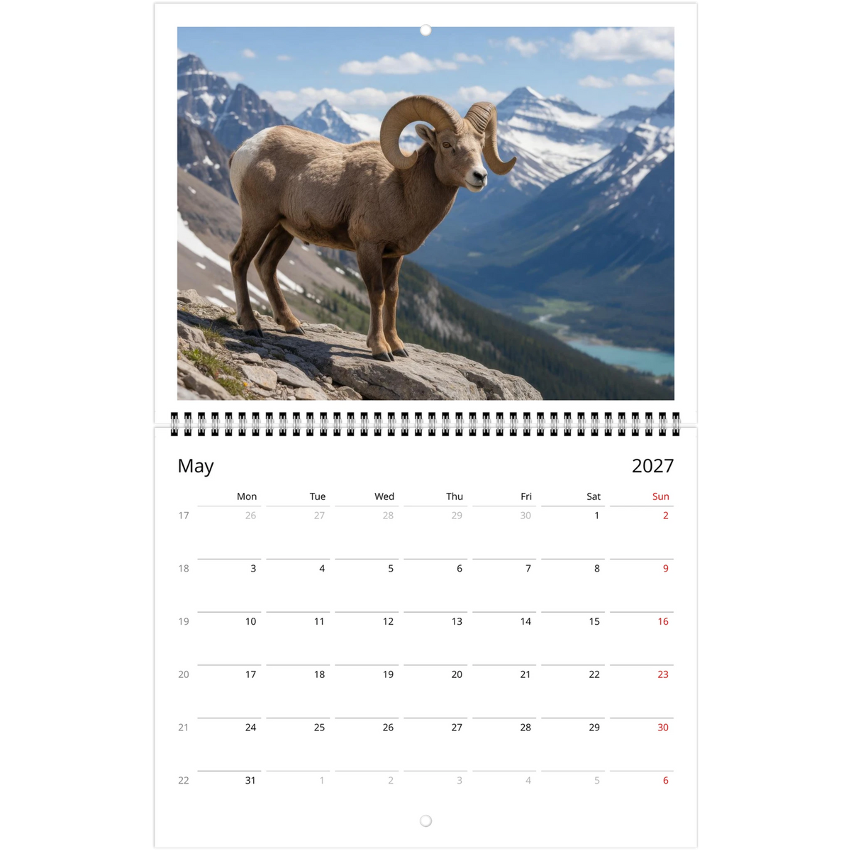 Wild Canada 2027 Wildlife Wall Calendar, Canada and USA Edition, view 5