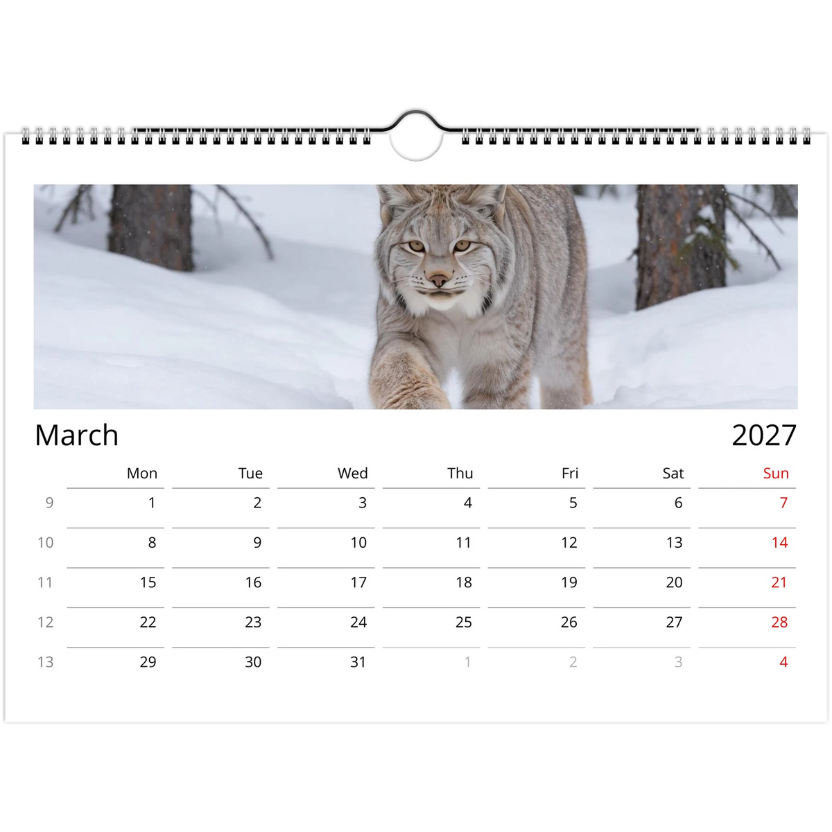 Wild Canada 2027 Wildlife Wall Calendar, International Edition, view 4