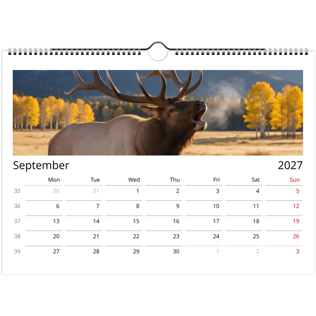 Wild Canada 2027 Wildlife Wall Calendar, International Edition, view 7